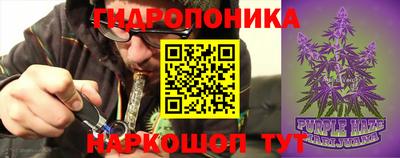 индика Можга