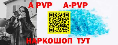 индика Можга