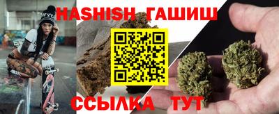 индика Можга